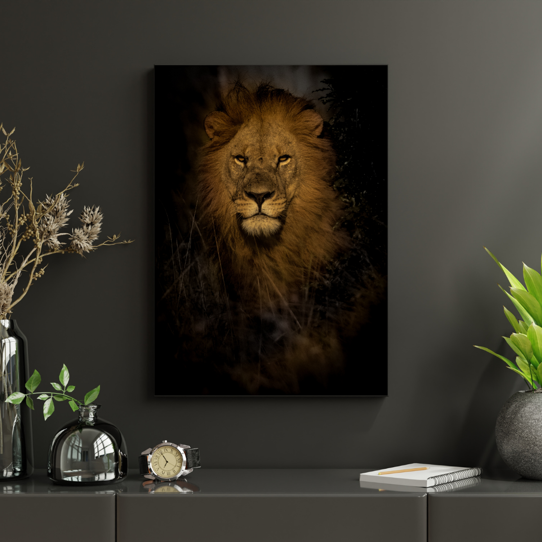 Lion Portrait