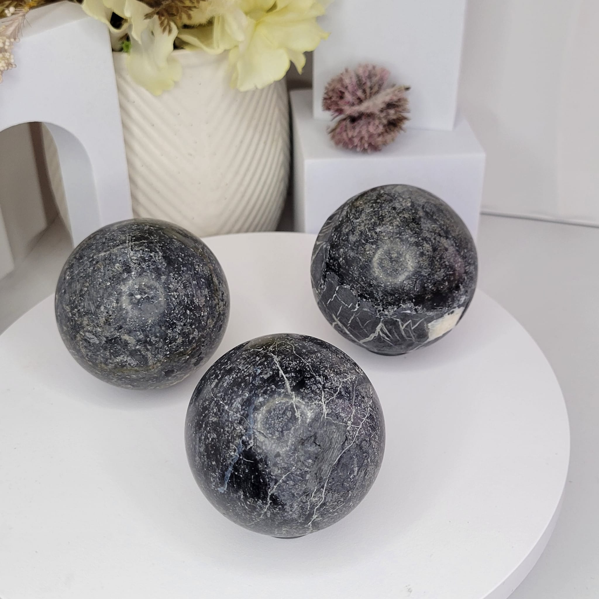 Petrified Palm Sphere 6cm