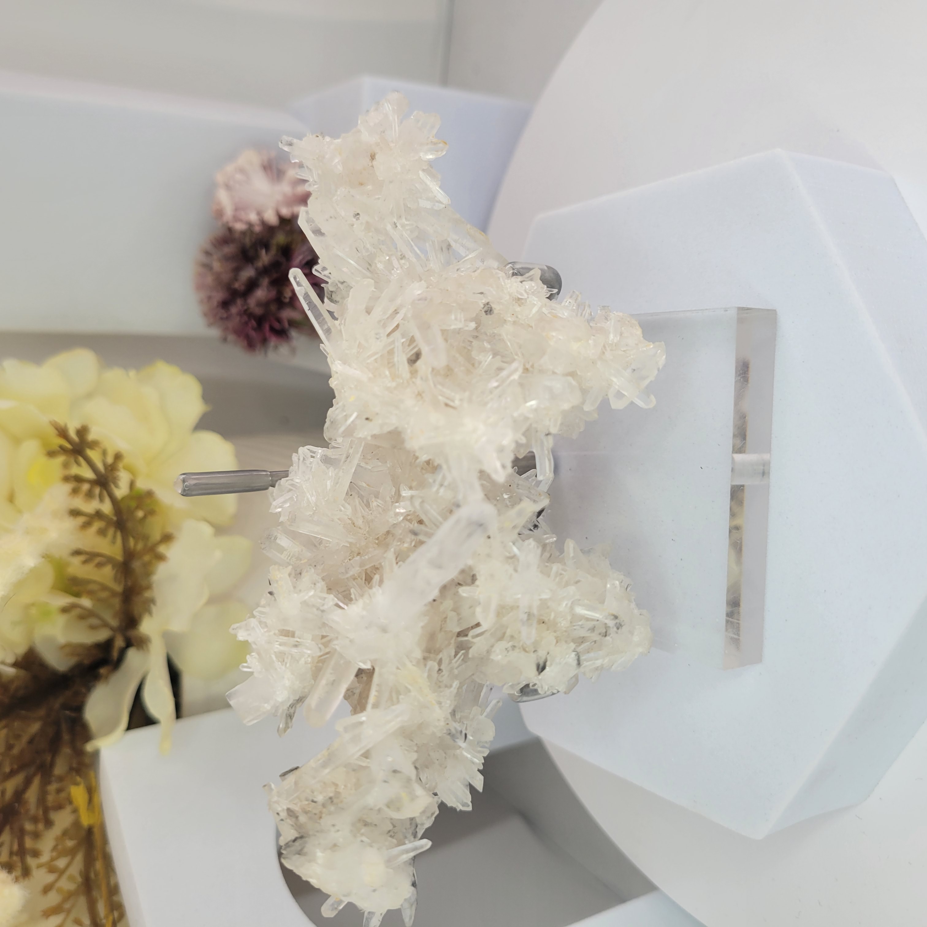 Clear Quartz Cluster Specimen + Stand