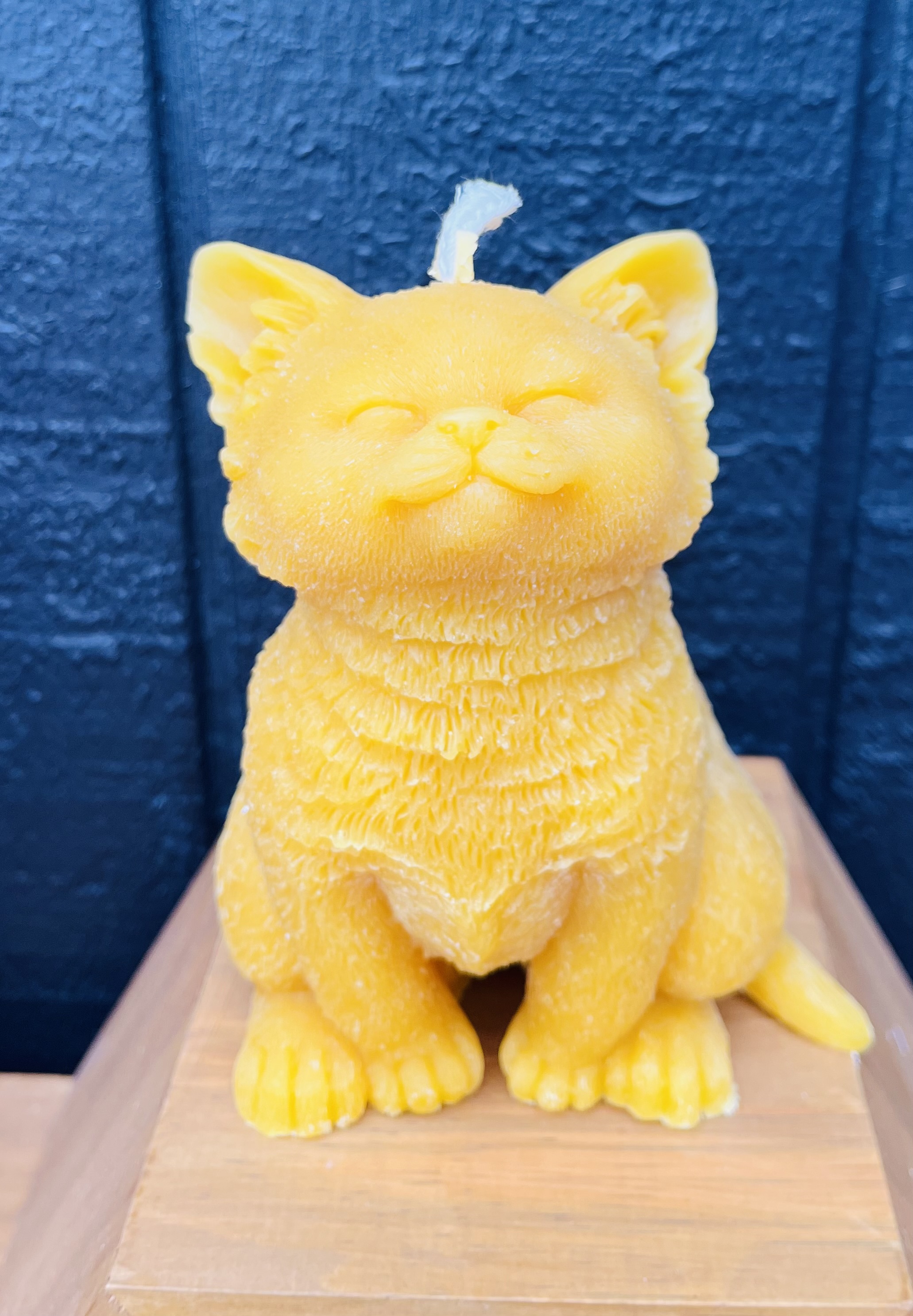 Cat beeswax candle-Large