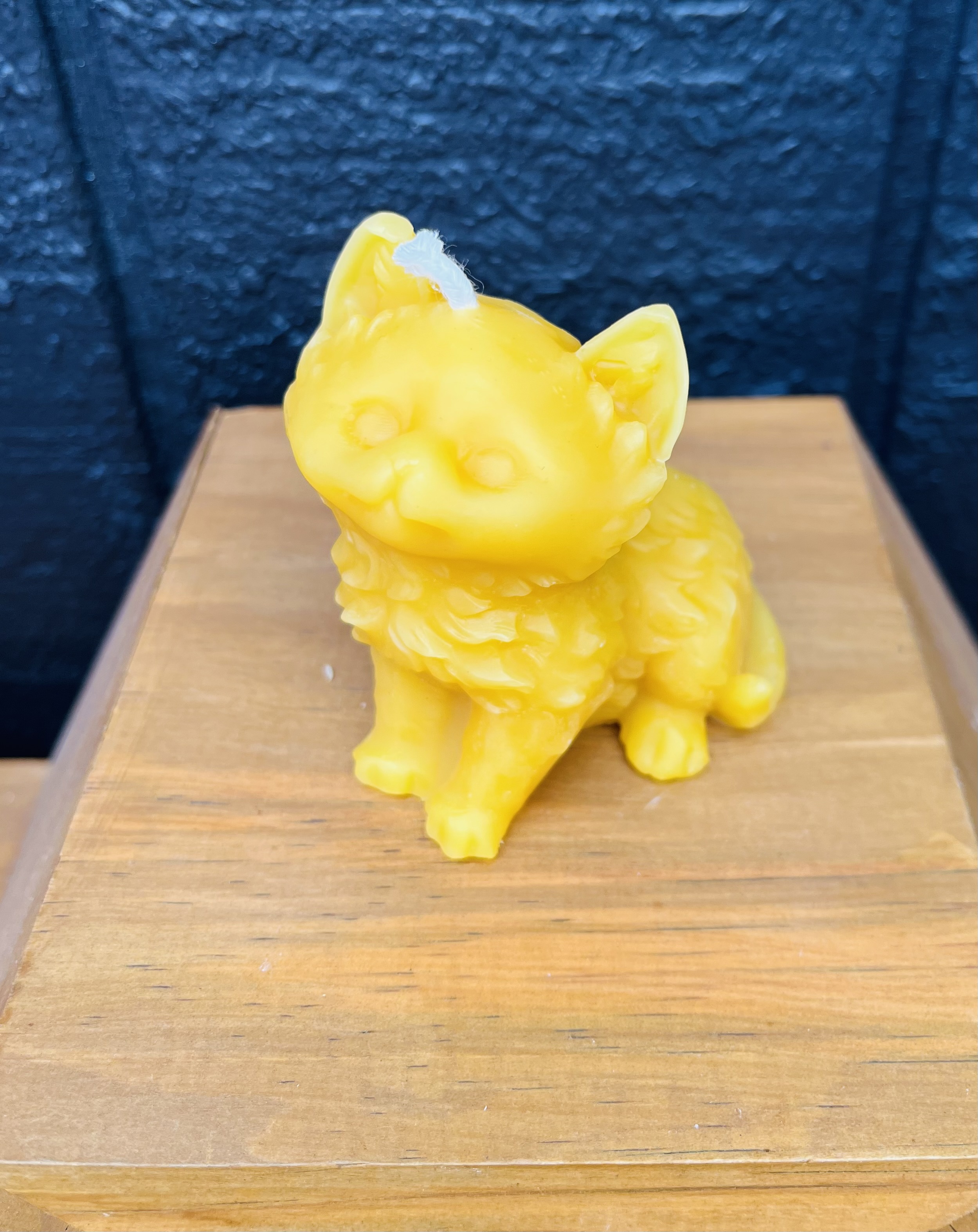 Cat beeswax candle-small