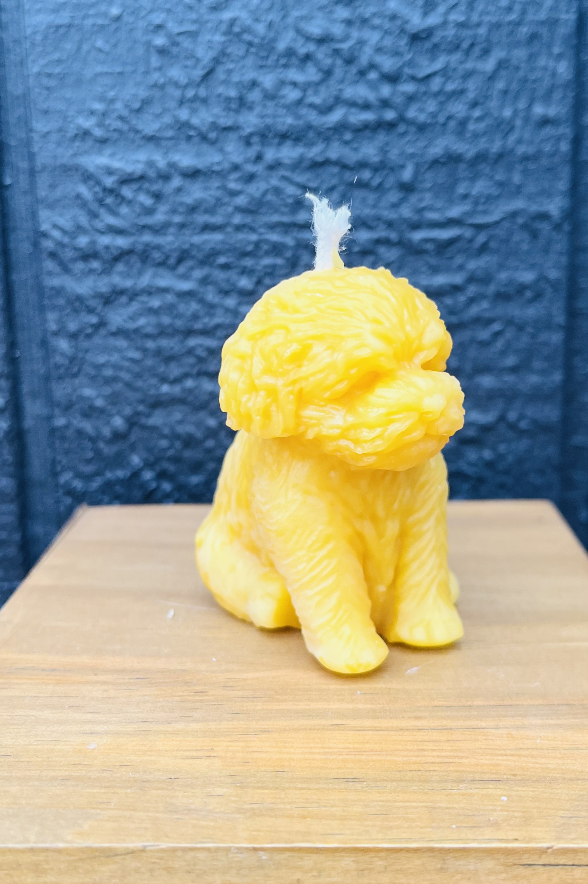 Dog beeswax candle-small