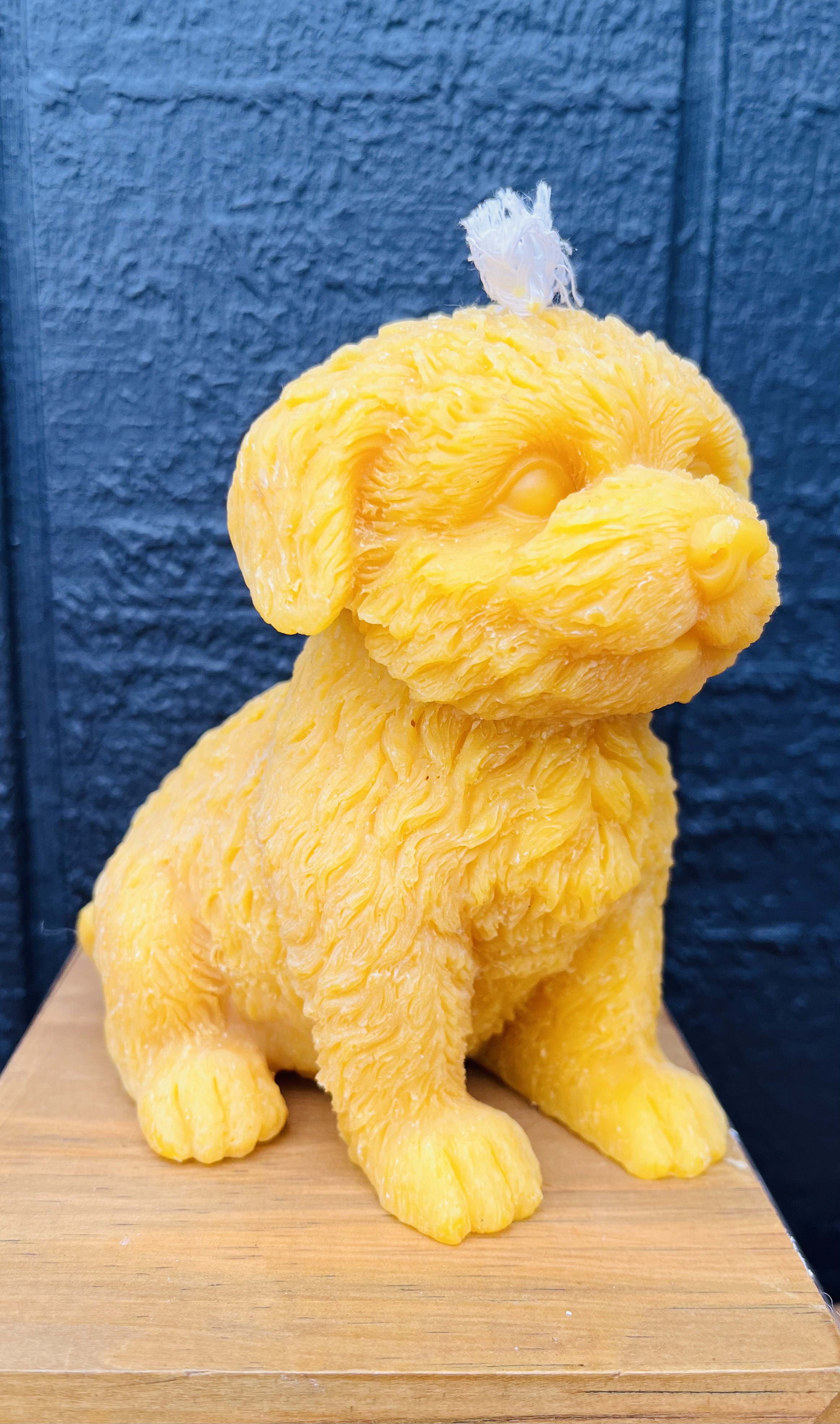 Dog beeswax candle-large