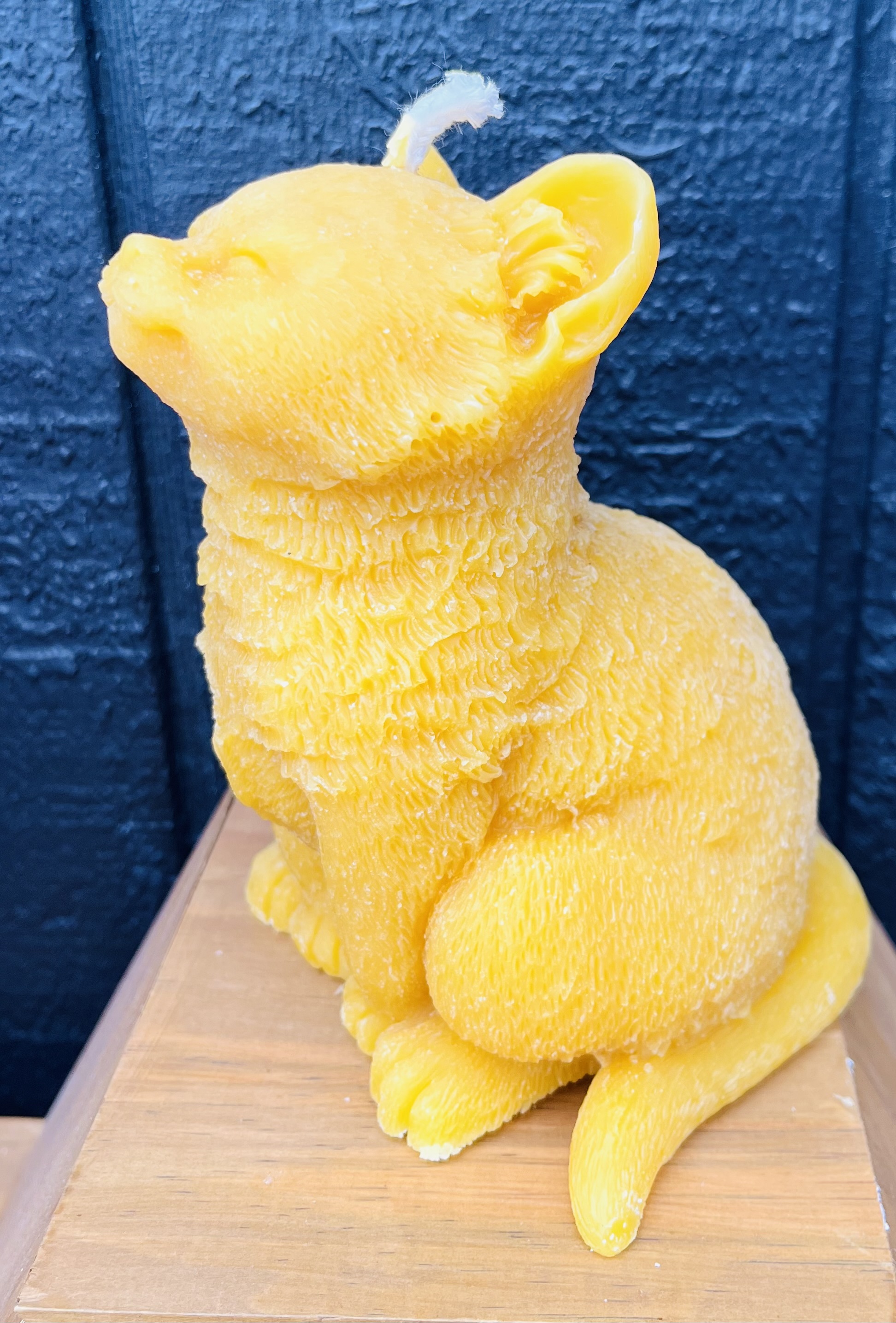 Cat beeswax candle-Large
