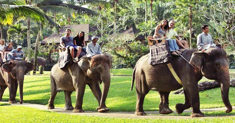 Elephant Sanctuary & Tours