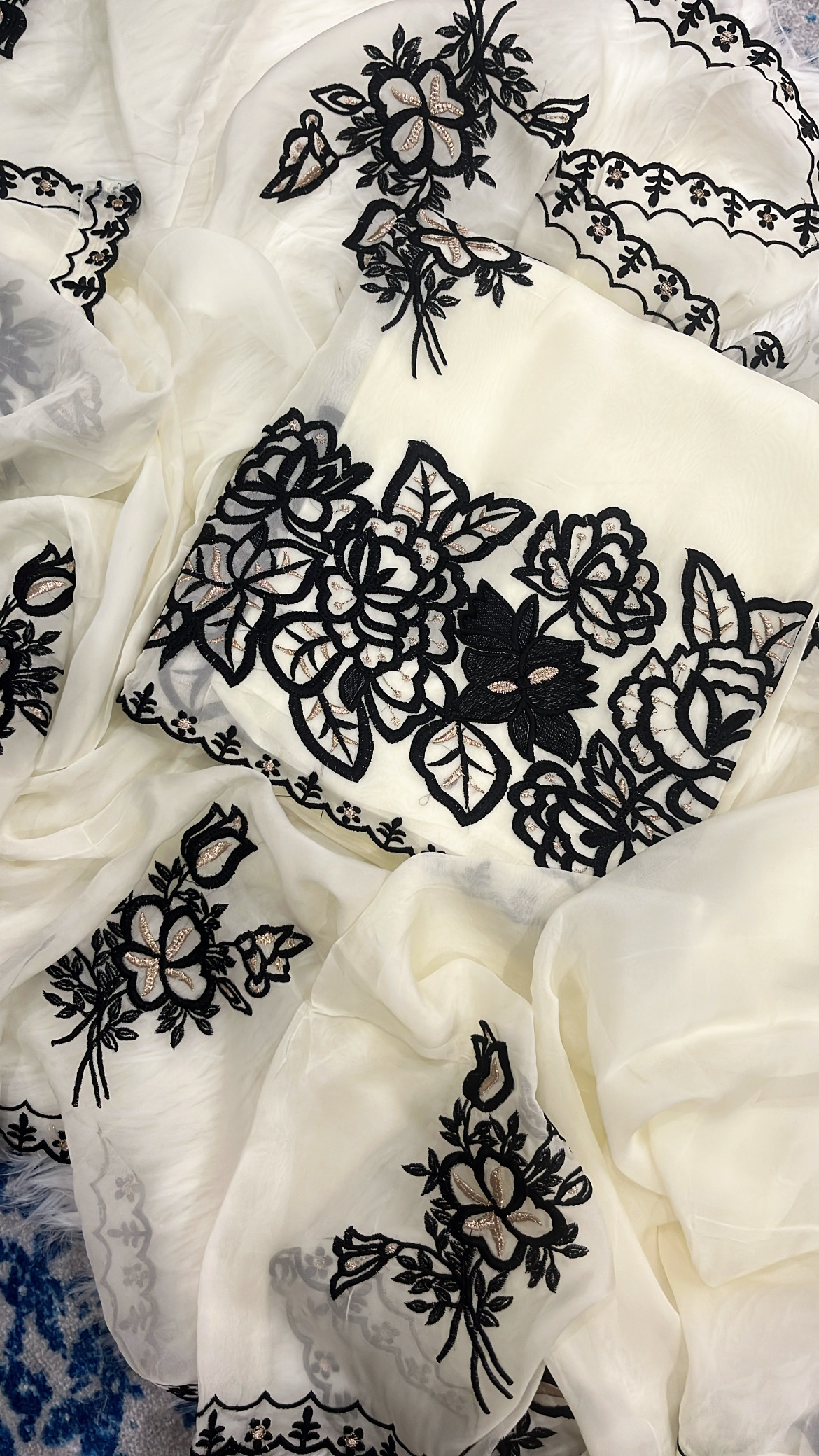 White Soft organza with Thread work