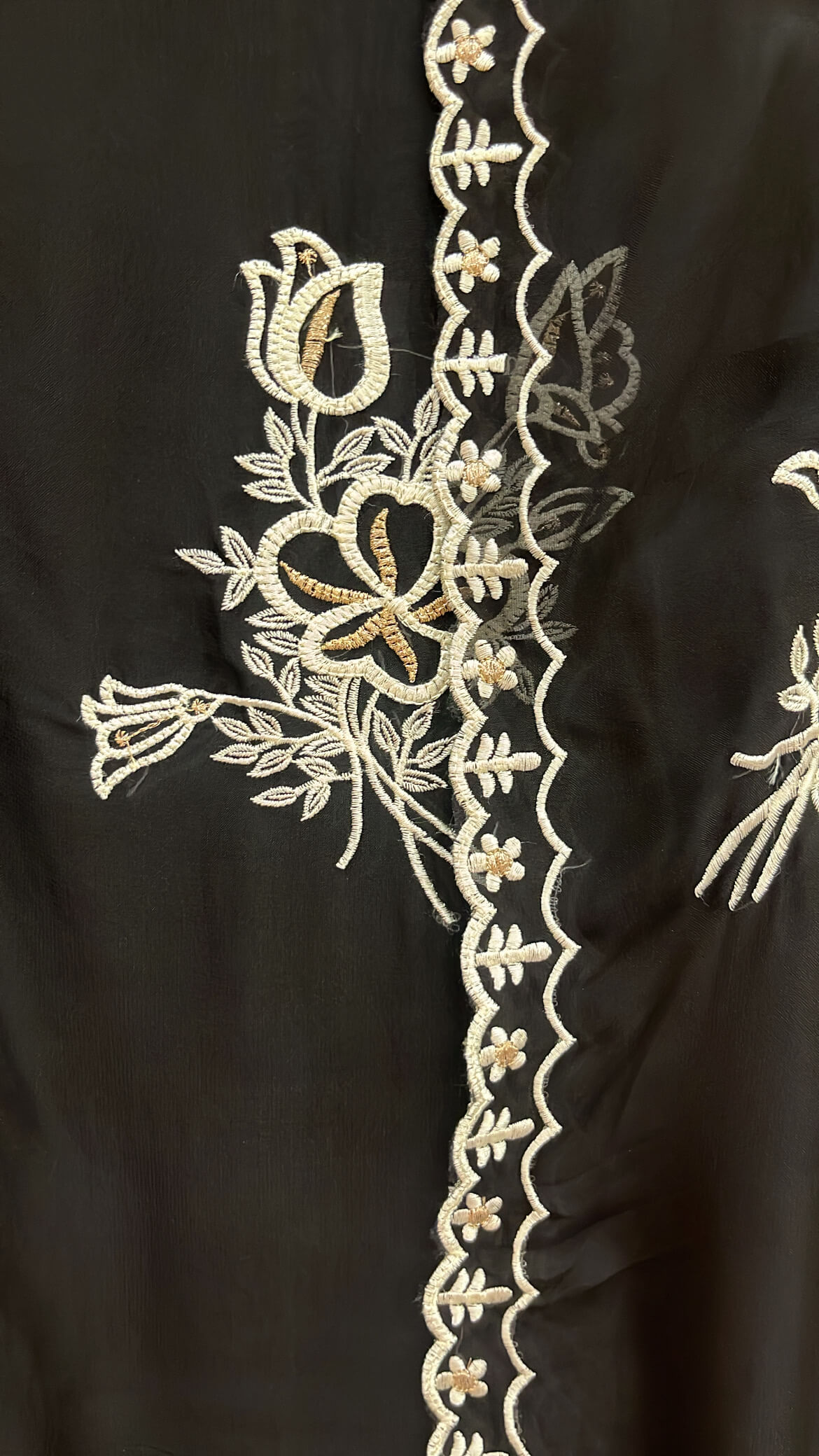 Black Soft organza with Thread work