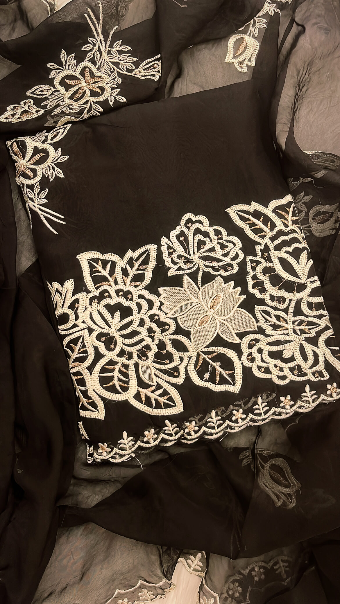 Black Soft organza with Thread work