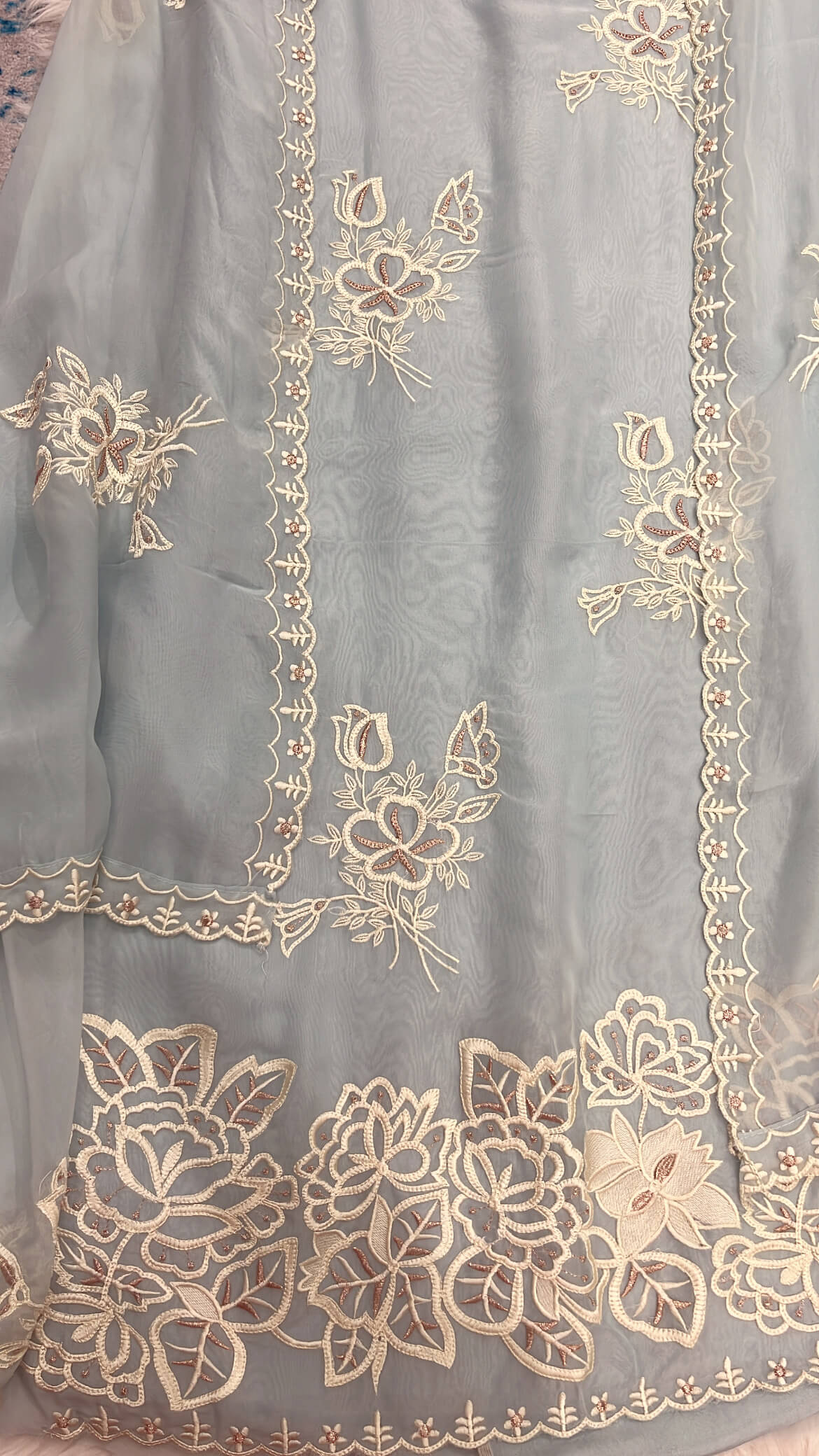 Soft Blue organza with Thread work
