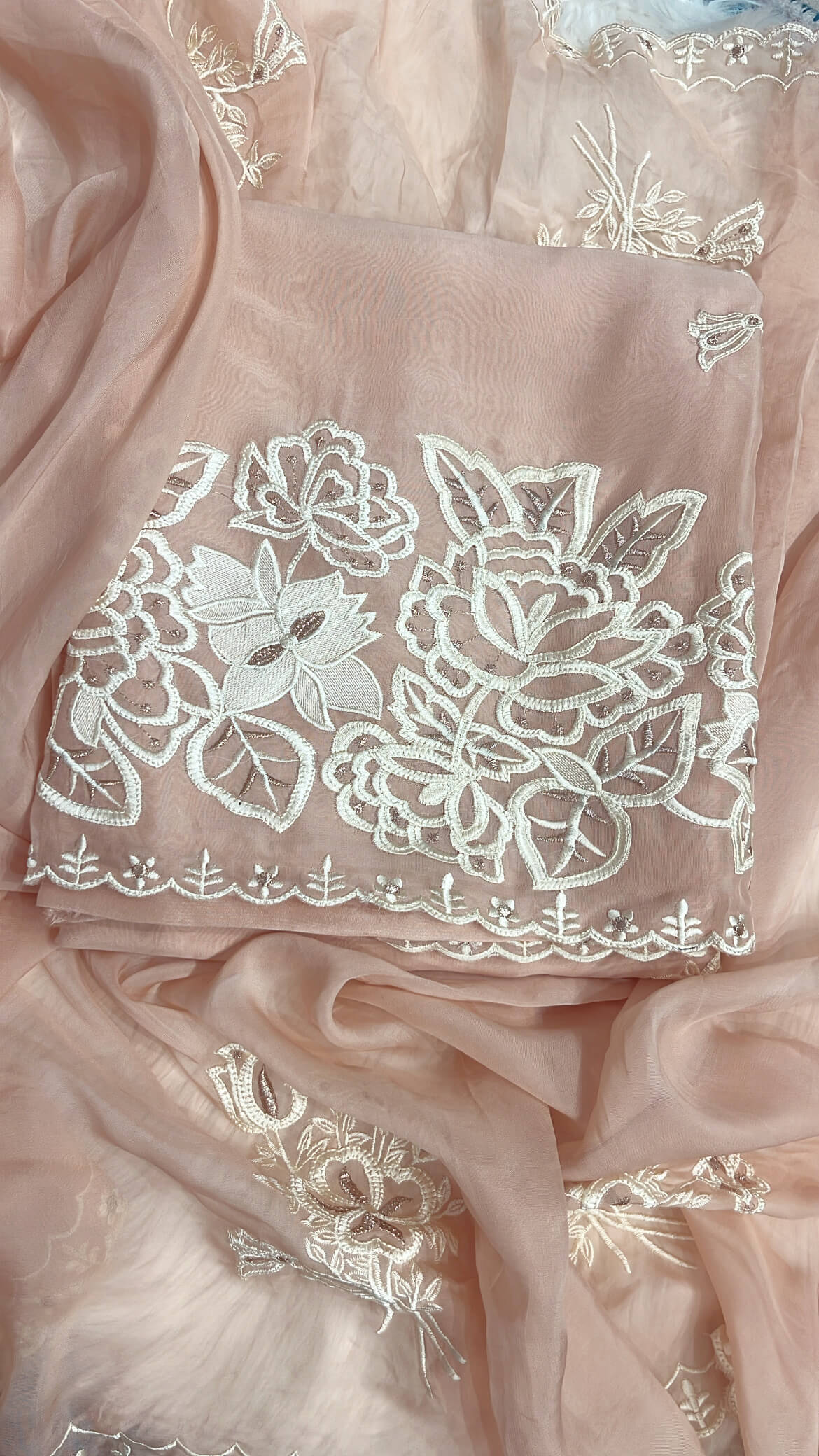 Nude Peach Soft organza with Thread work