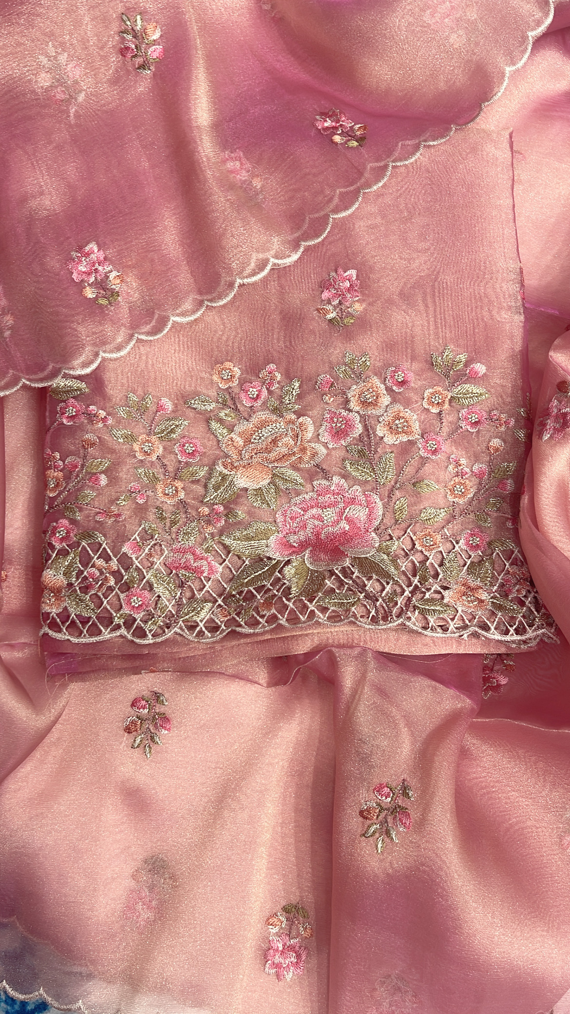 Floral Embroidered Cut-work Tissue Suit