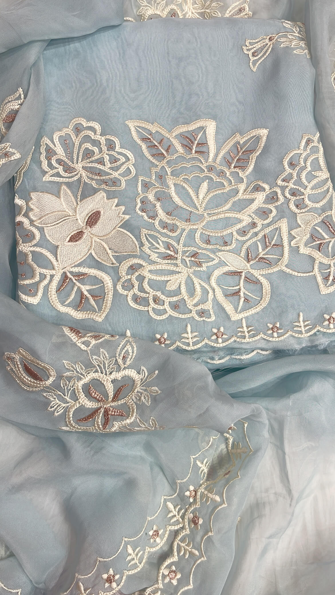 Soft Blue organza with Thread work