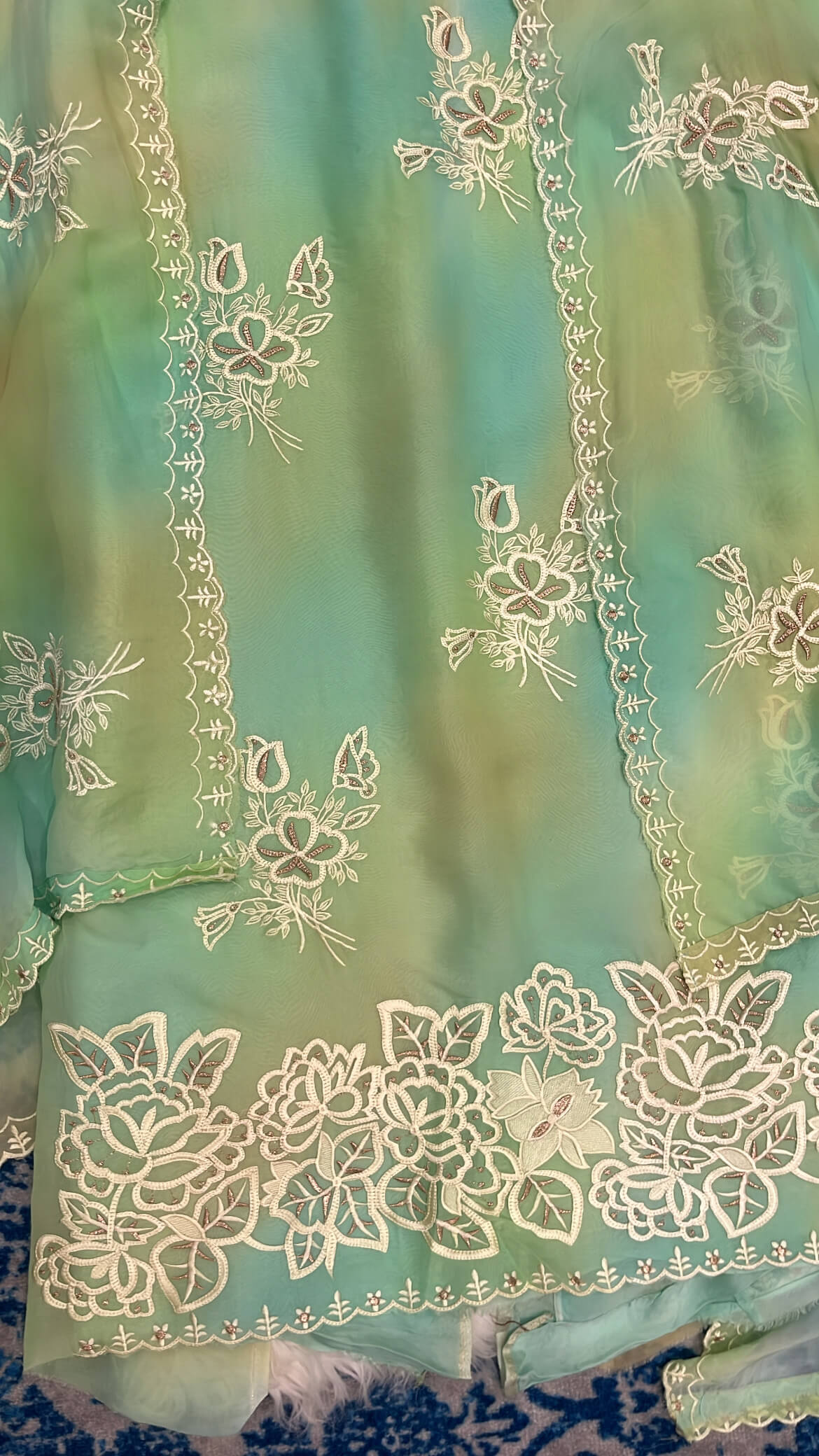 Ombre Green Soft organza with Thread work