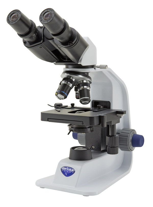 Microscope binoculaire
