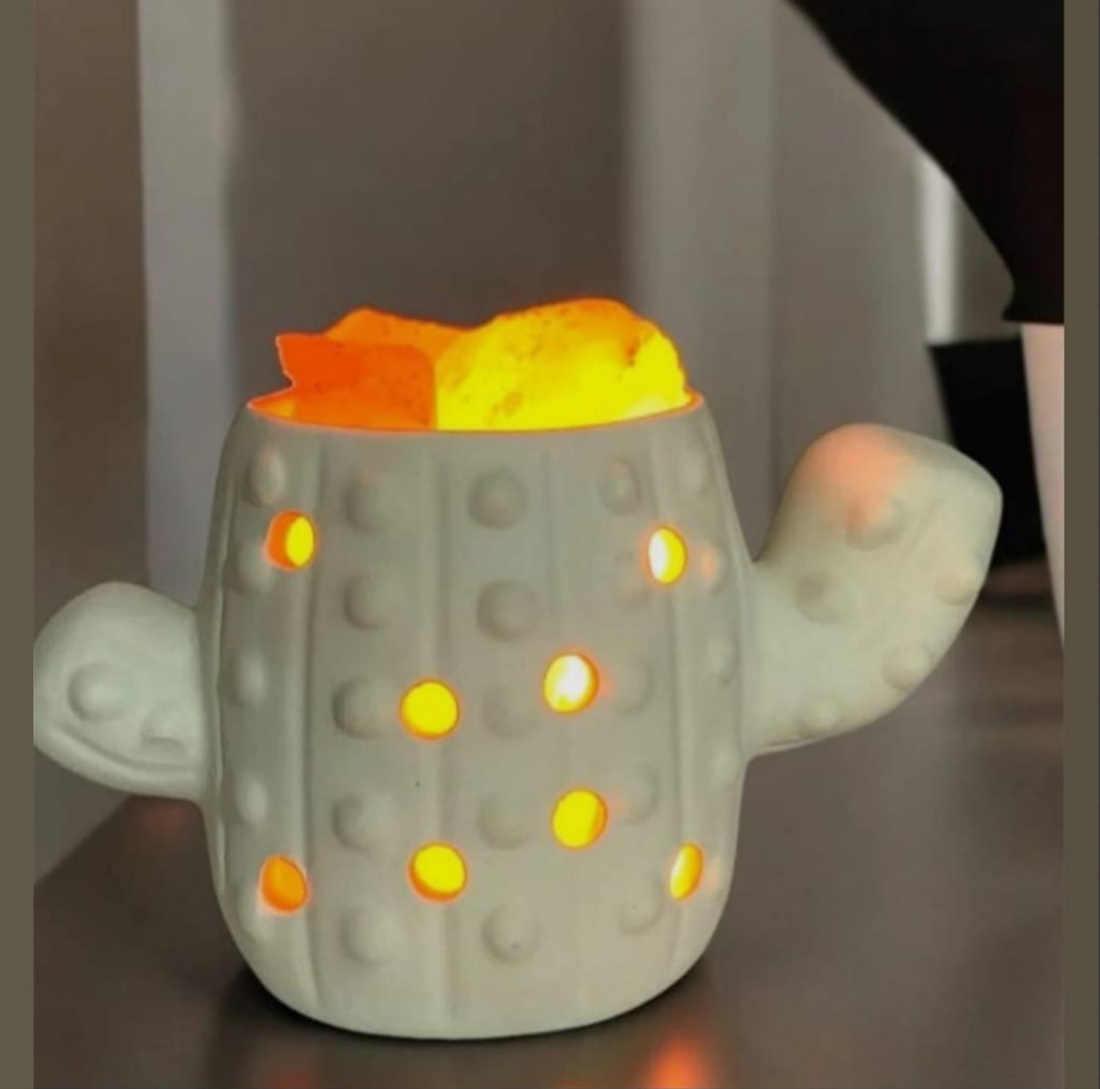 LAMPARA DE SAL CACTUS