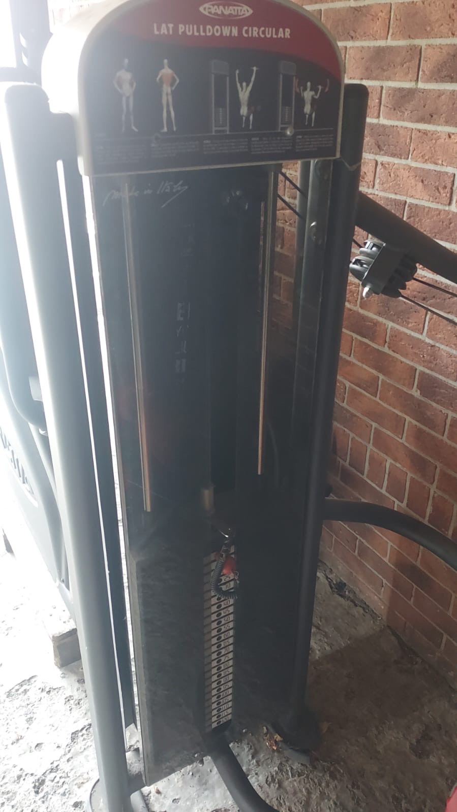 Lat Pulldown Circular