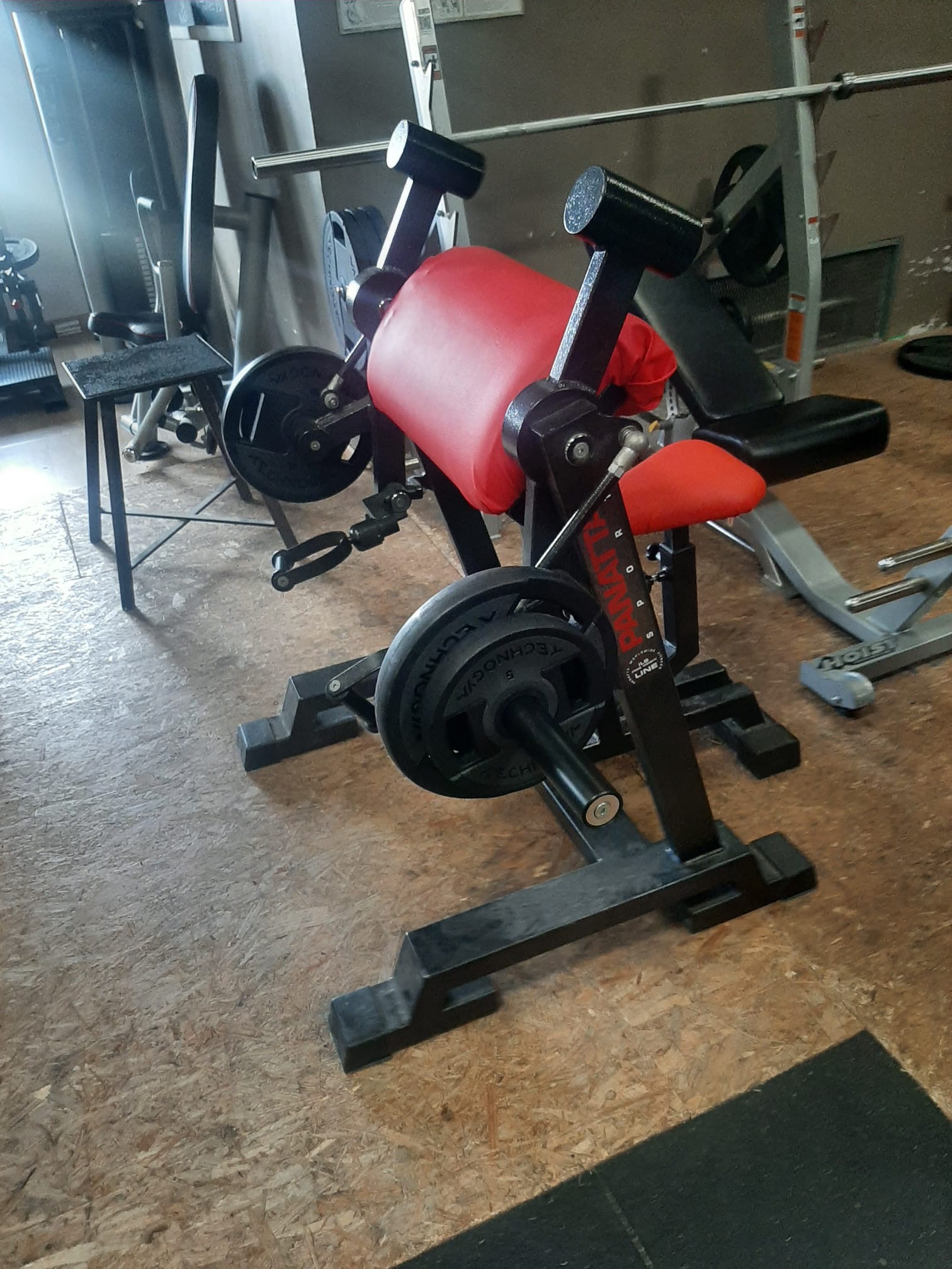 Biceps Maschine