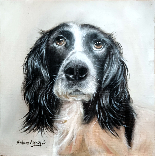 Hand Painted One Pet Portrait in Oils 30cm x 30cm £95