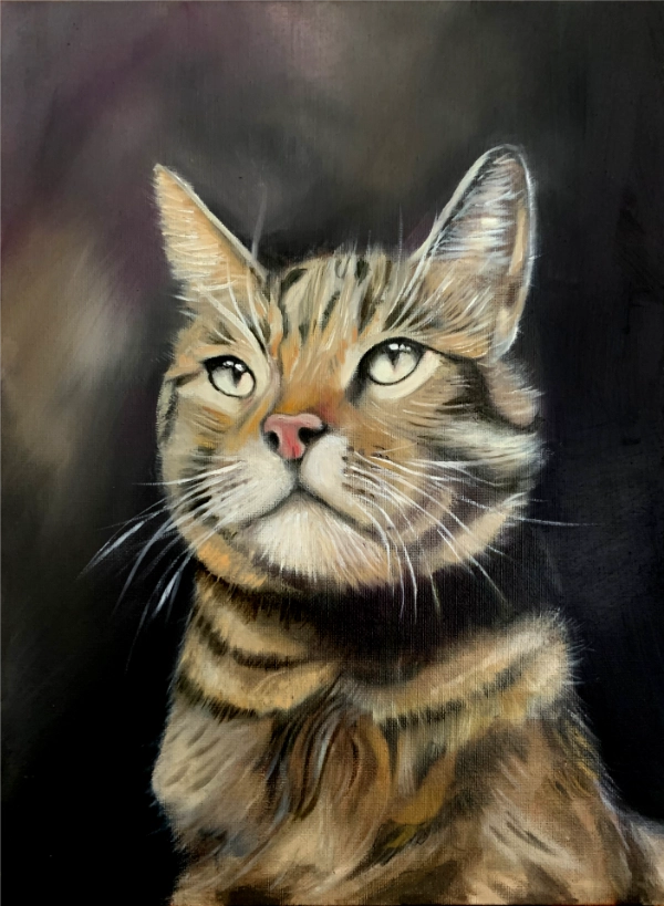 Hand Painted One Pet Portrait in Oils 40cm x 30cm One Pet £125