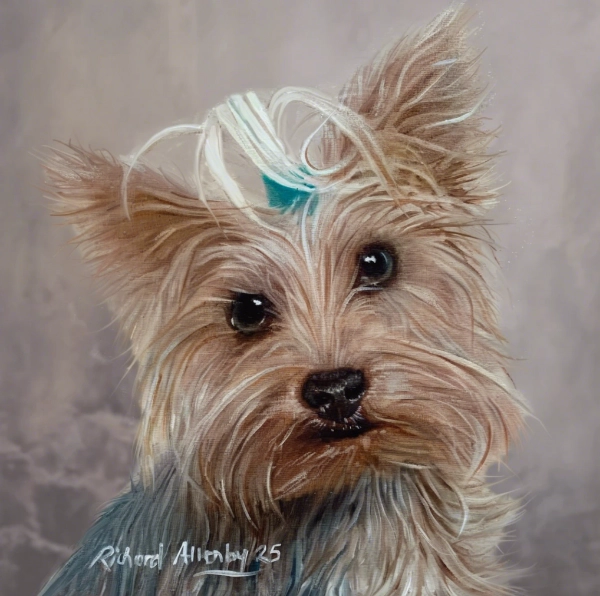 Hand Painted One Pet Portrait in Oils 30cm x 30cm £95