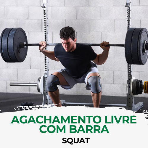 Agachamento Livre com Barra