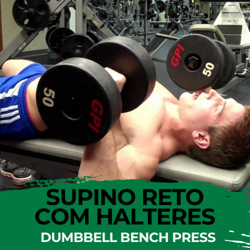 Supino Reto com Halteres