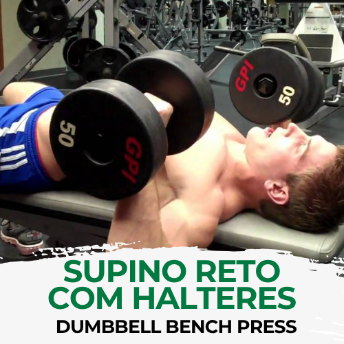 Supino Reto com Halteres