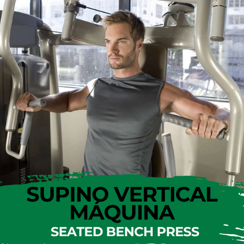 Supino Vertical Máquina