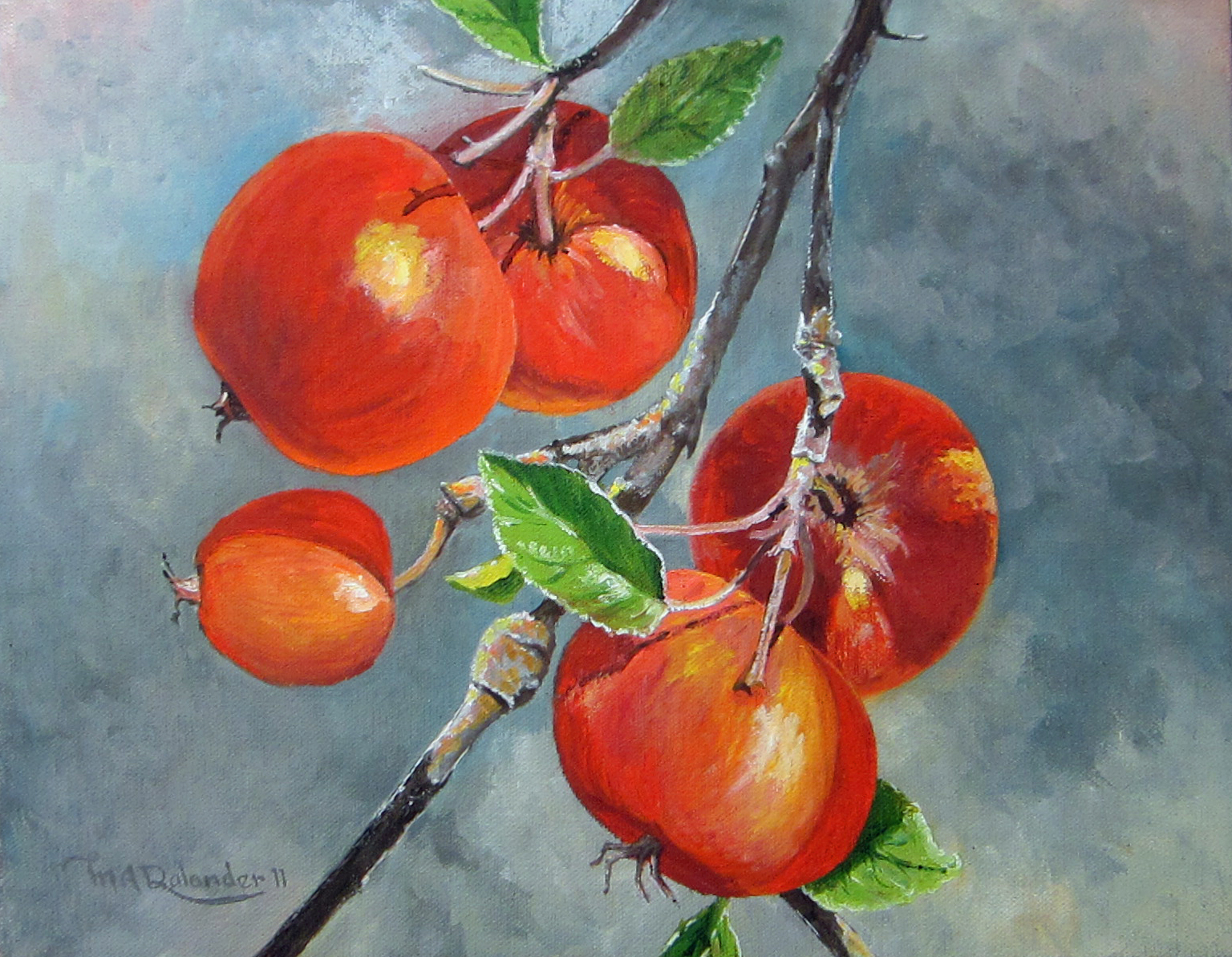 Petit Rousset Apples