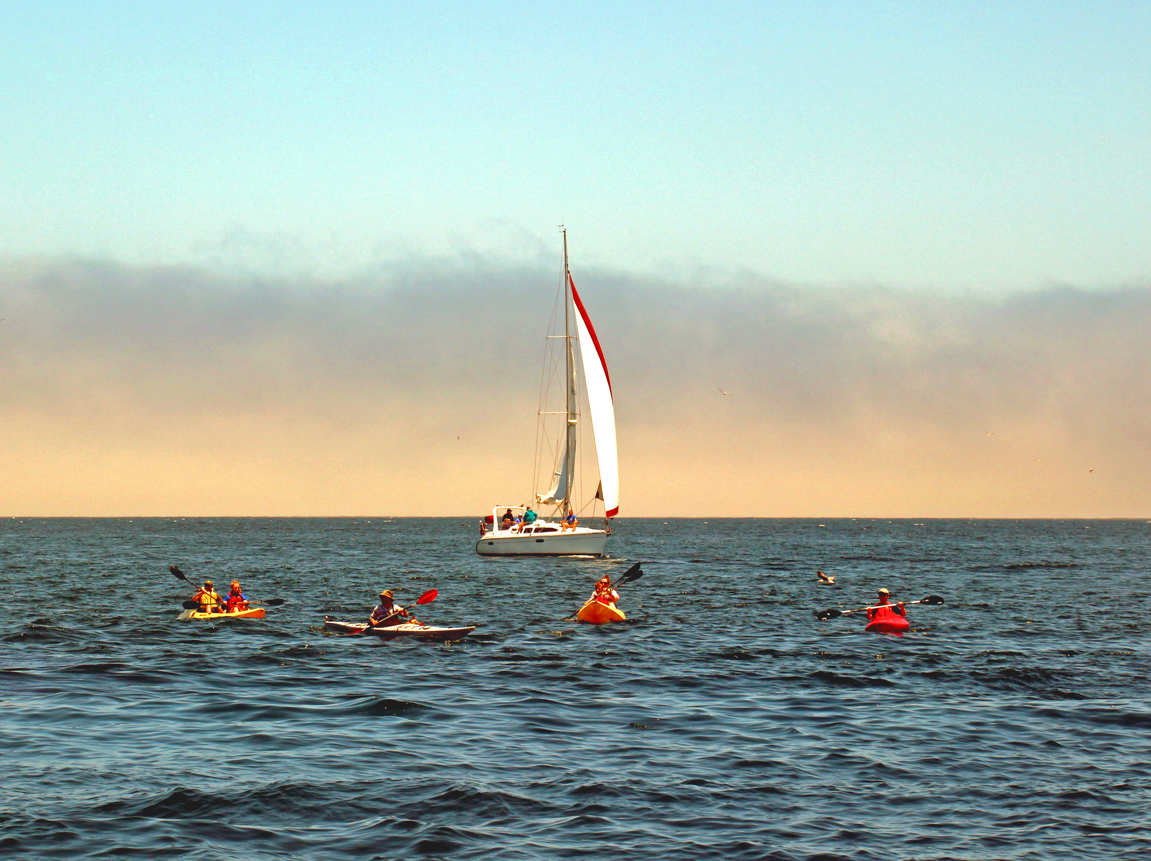 White Sailboat and kayaks 