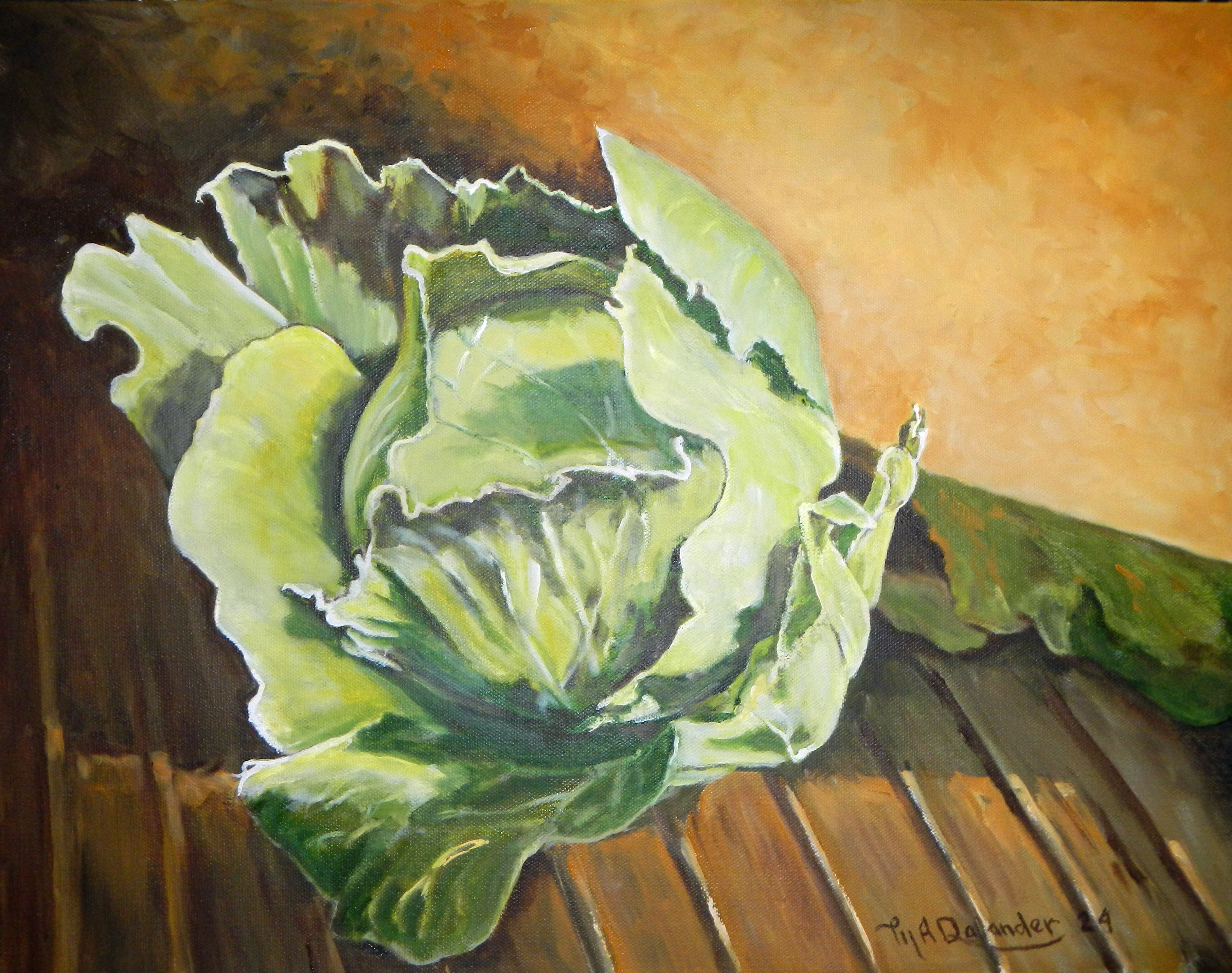 Savoy Cabbage