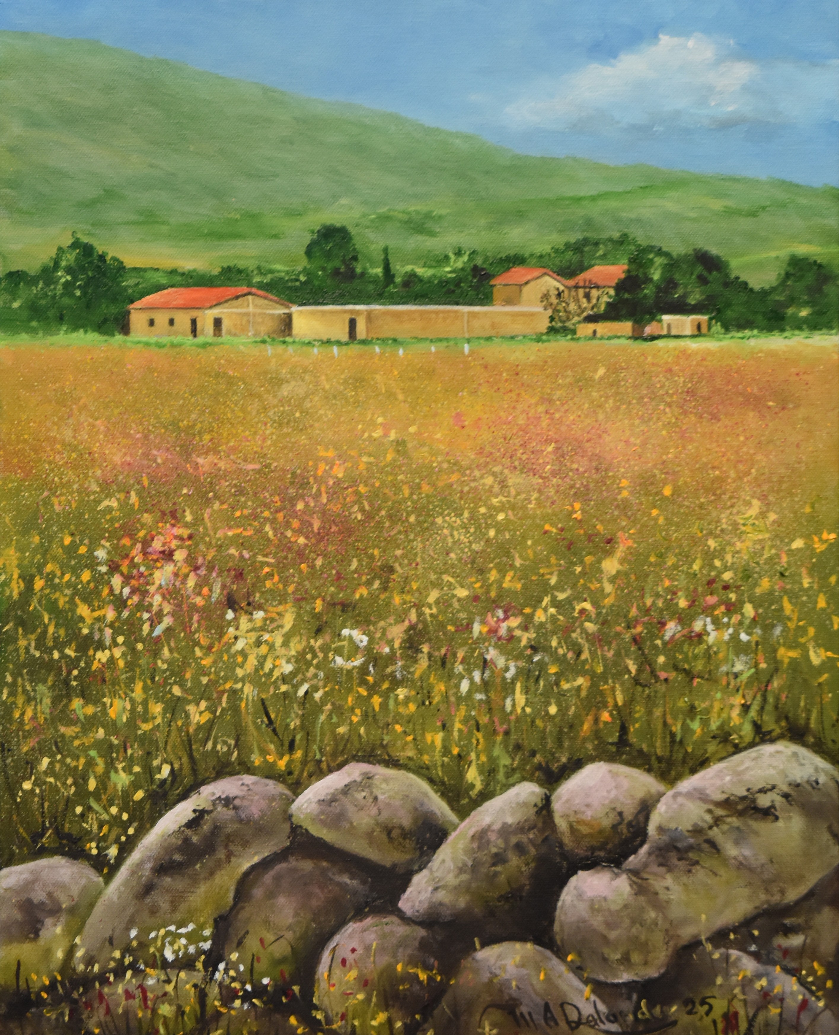 Fields of Santiago Mexico