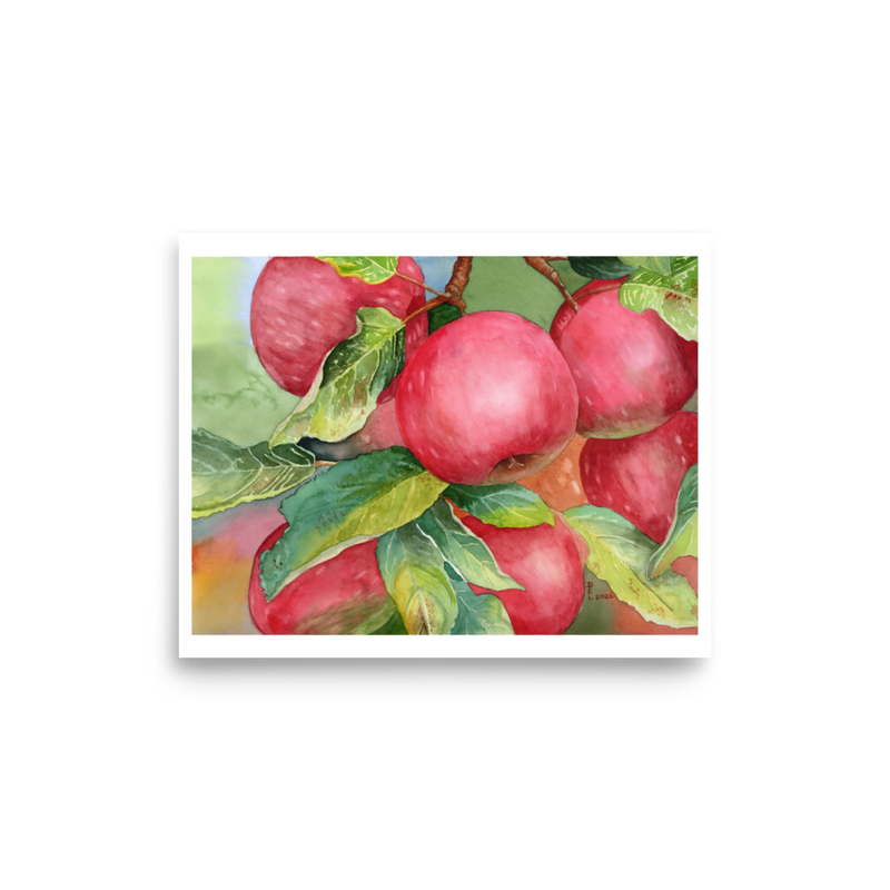 Apples on Tree 8" x 10" Watercolor Print
