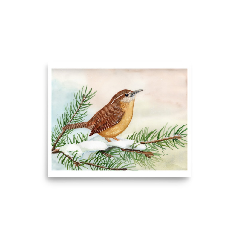 Carolina Wren in Winter 8" x 10" Watercolor Print