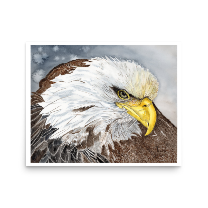 Bald Eagle Watercolor Art 16" x 20" Print