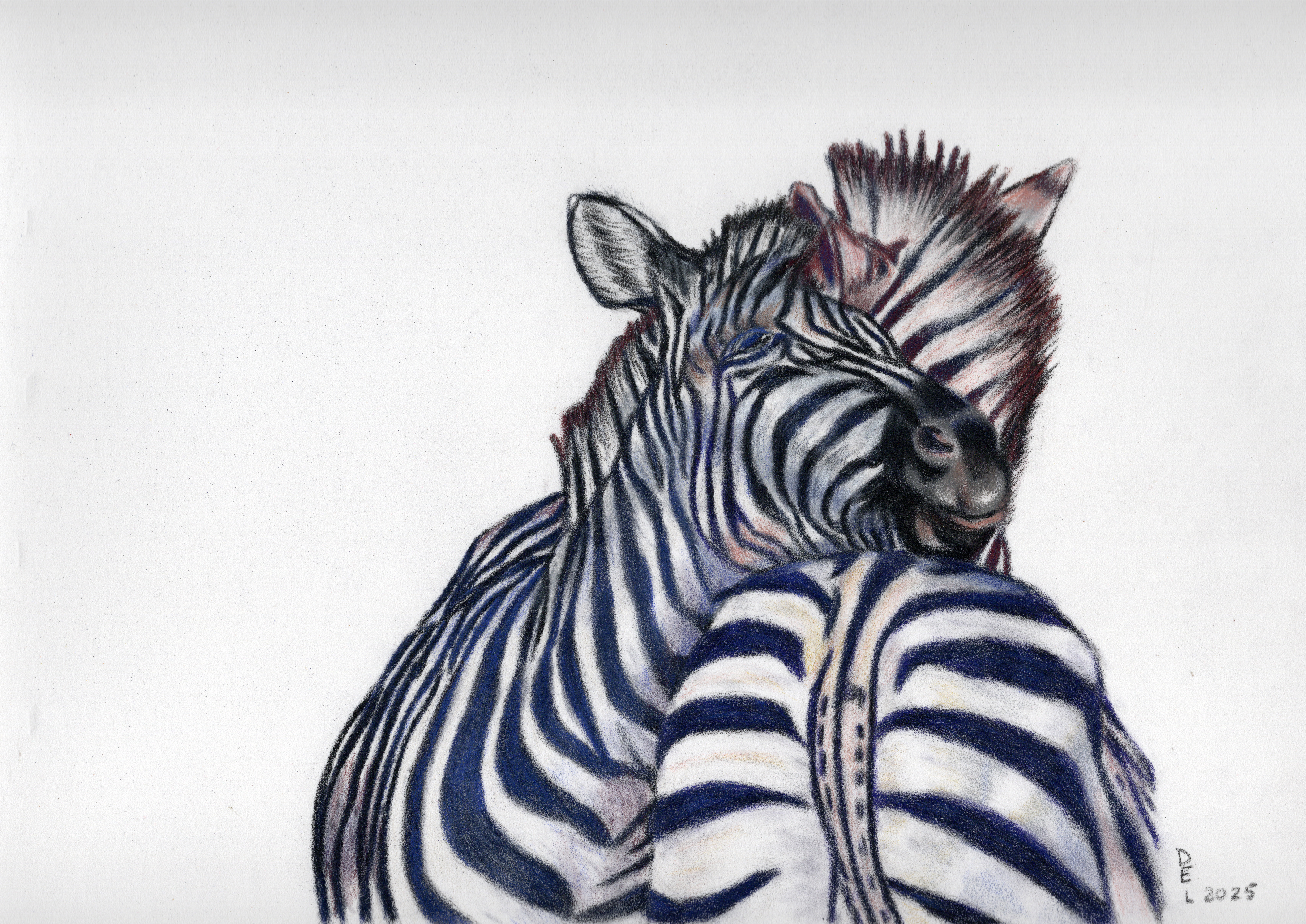 Zebra Hug Art Print