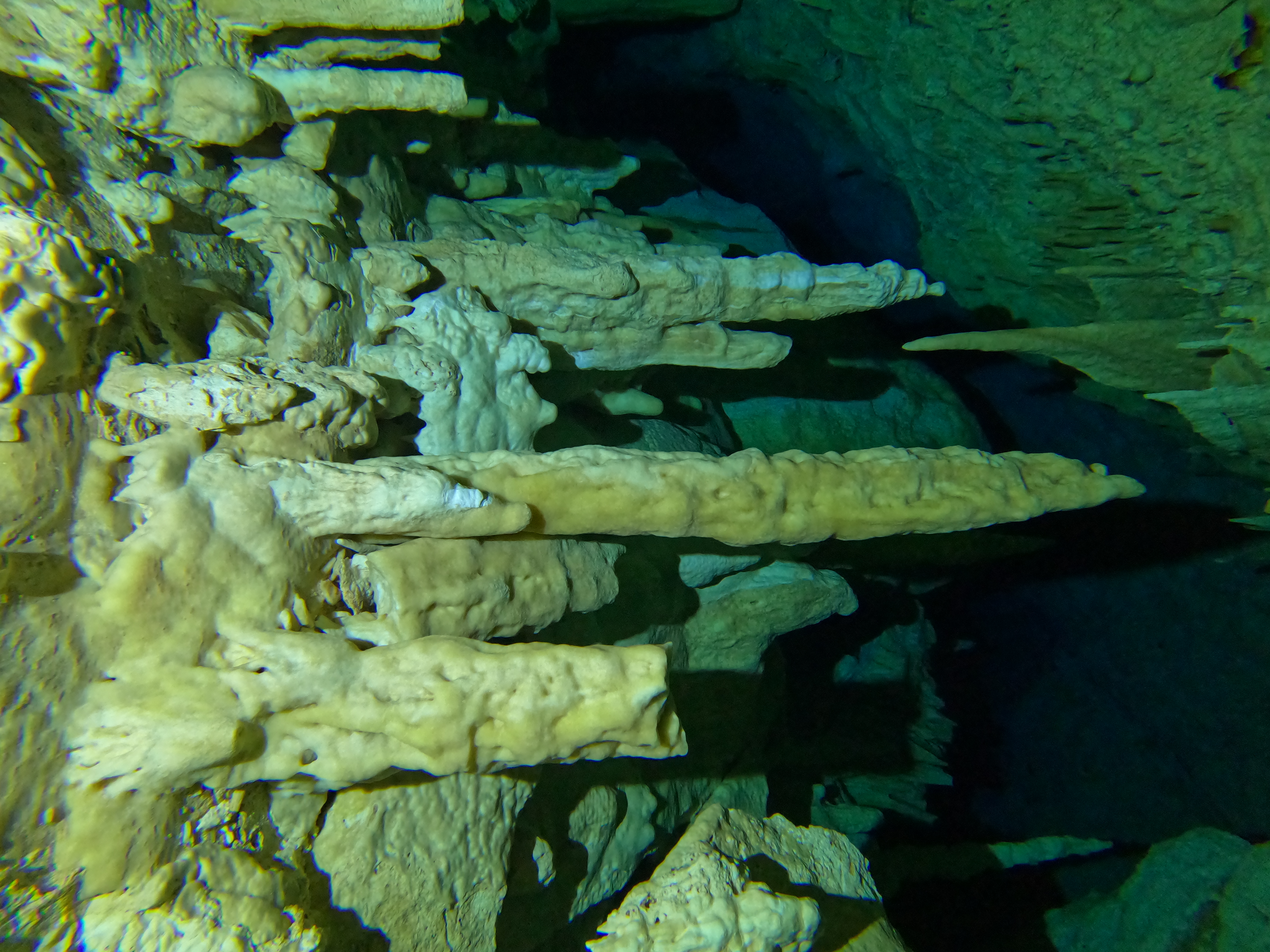 BUCEO EN CAVERNAS O CENOTES