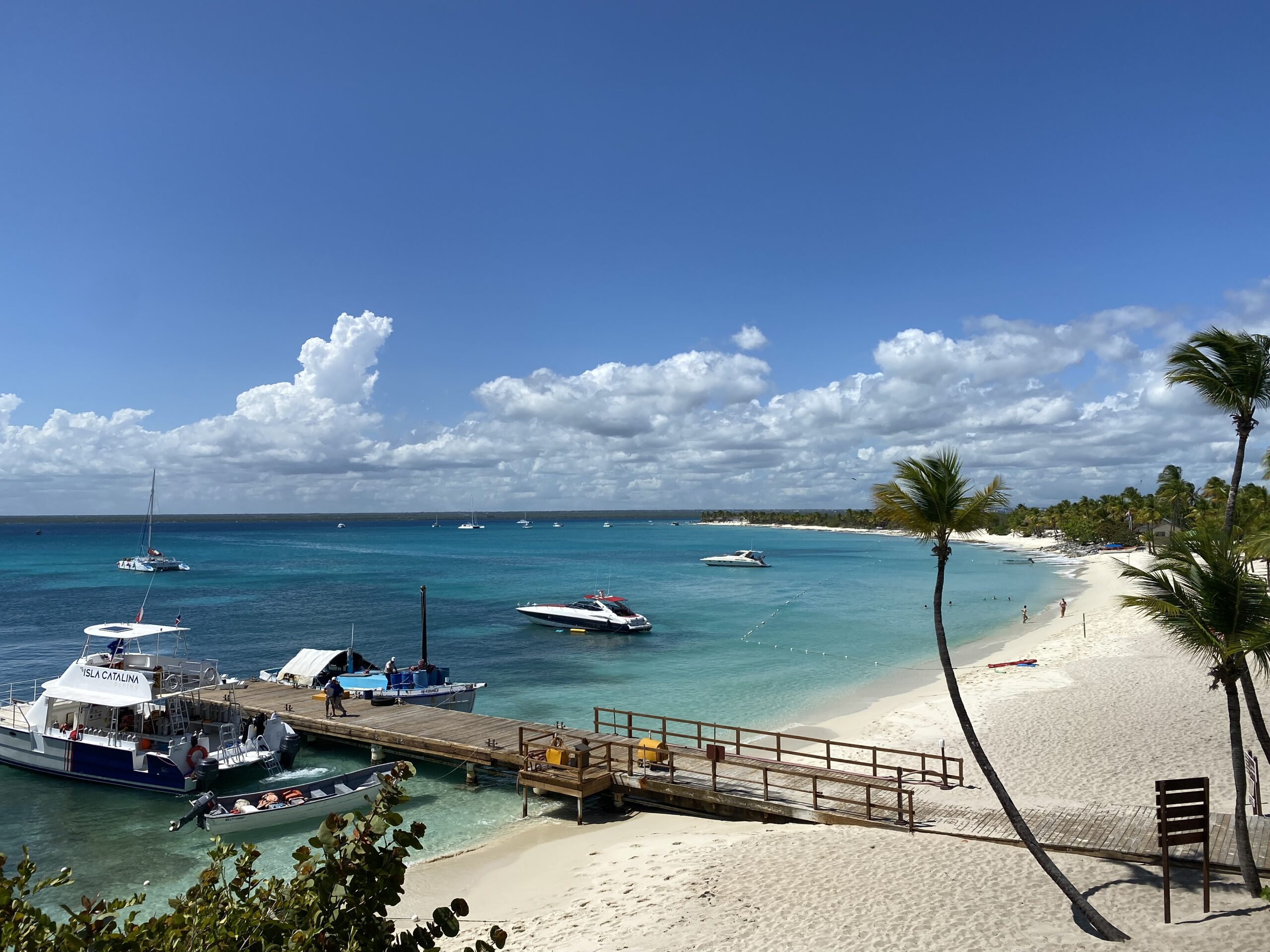 EXCURSIÓN DE BUCEO Y SNORKEL EN  ISLA CATALINA