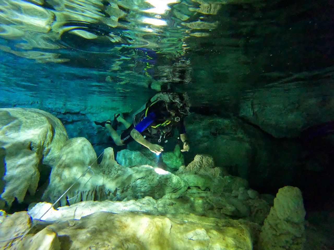 BUCEO EN NAUFRAGIOS Y CAVERNAS