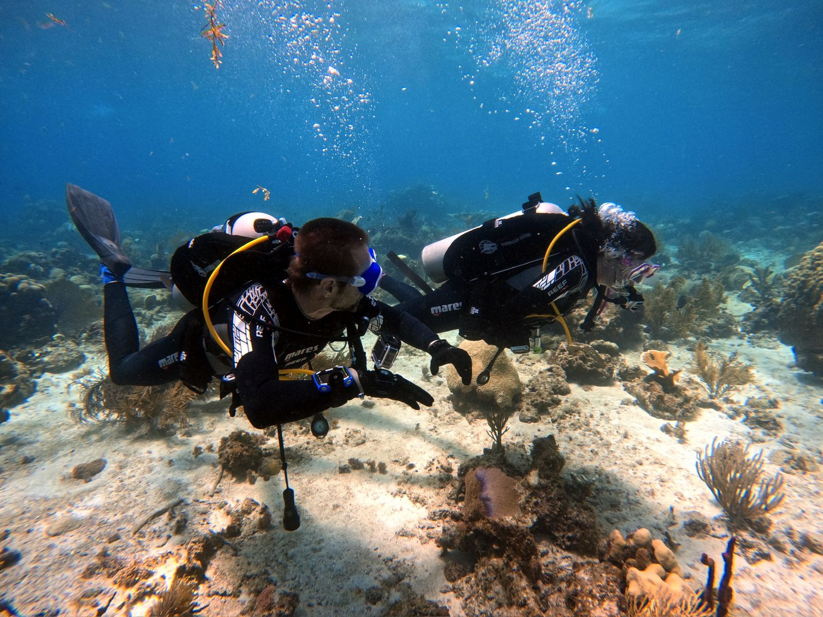 CURSO OPEN WATER DIVER 