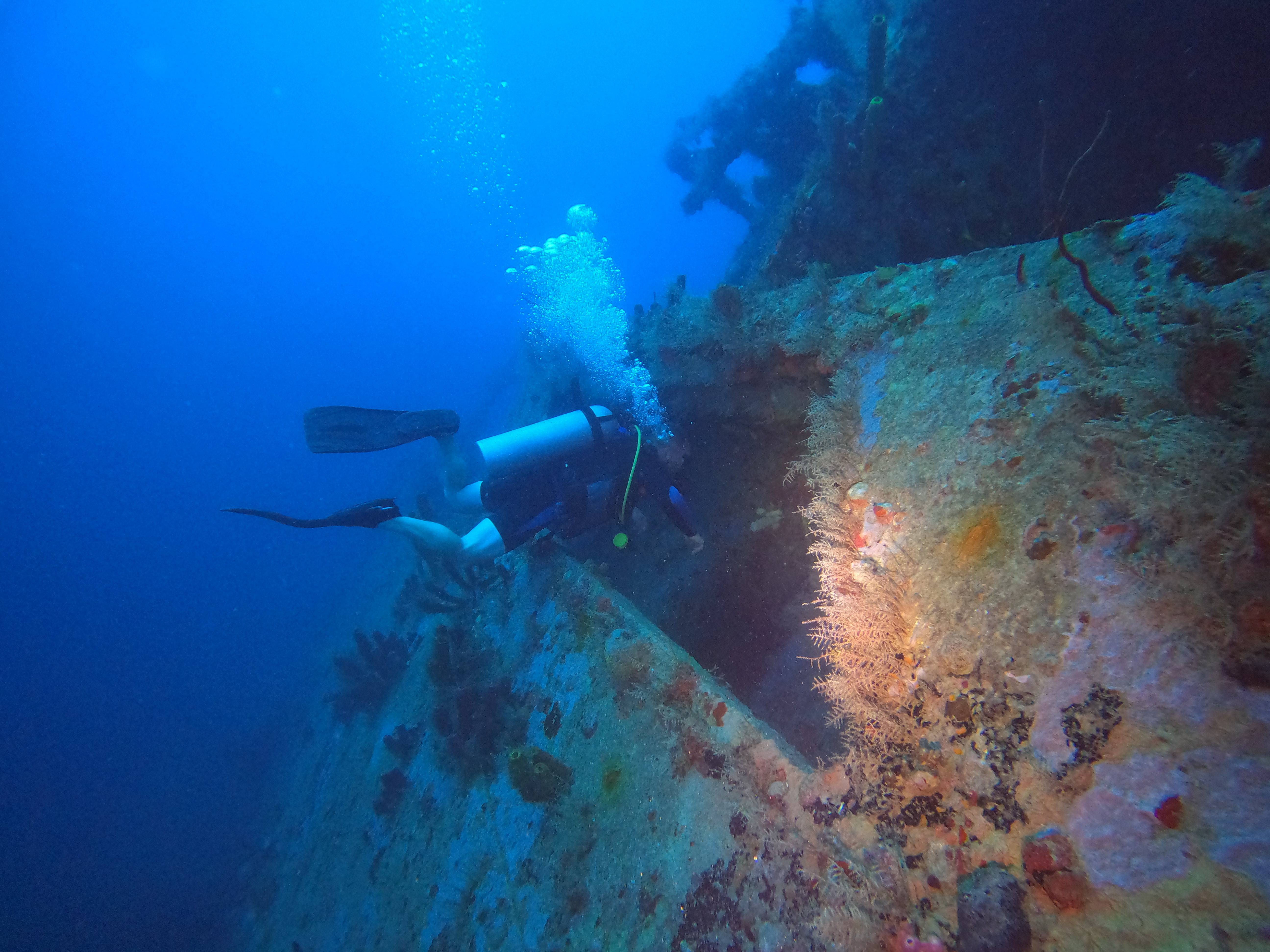 EXCURSIÓN DE BUCEO  Y SNORKEL EN ISLA SAONA