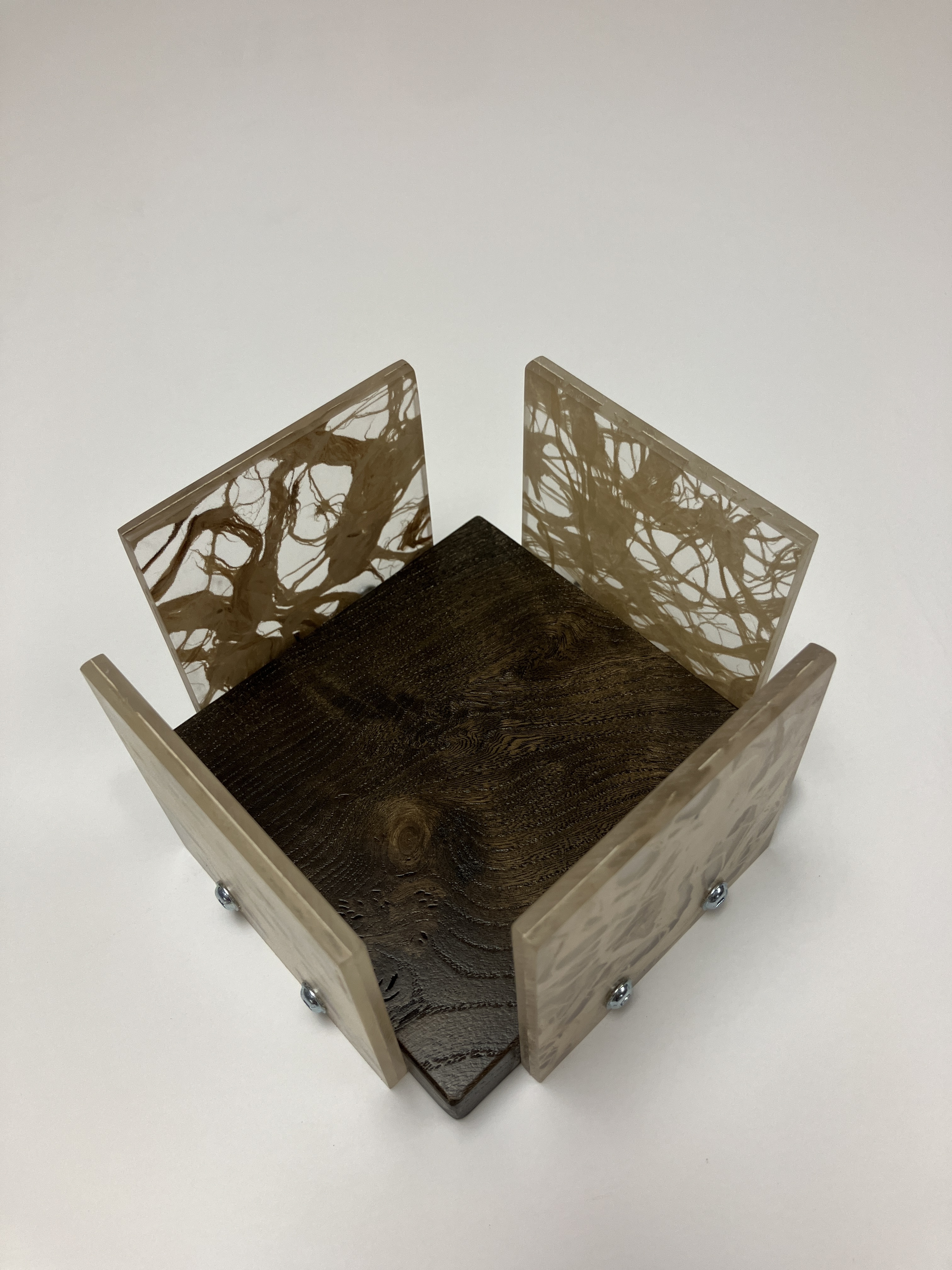 Roots of Memory Napkin Holder