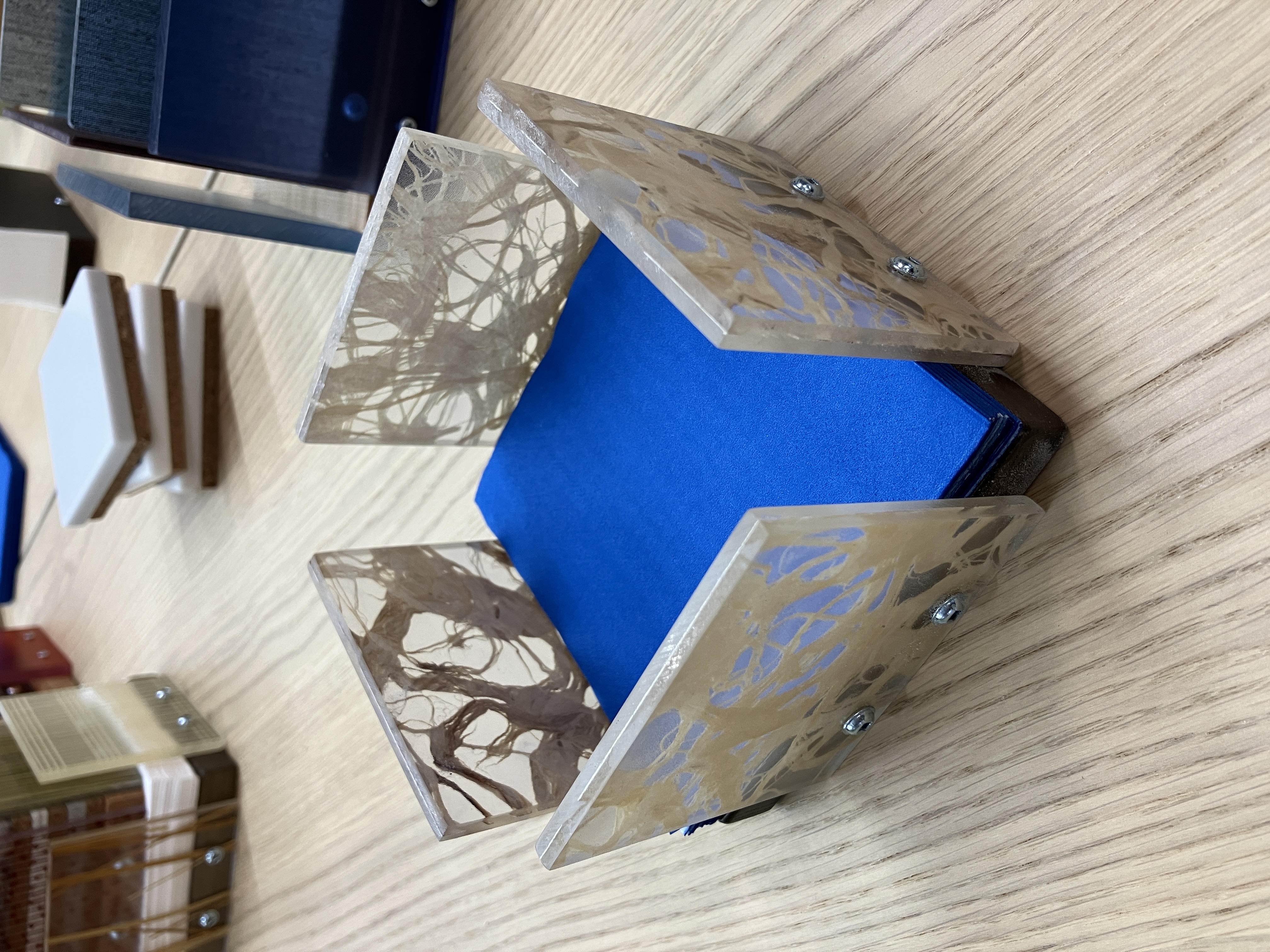 Roots of Memory Napkin Holder