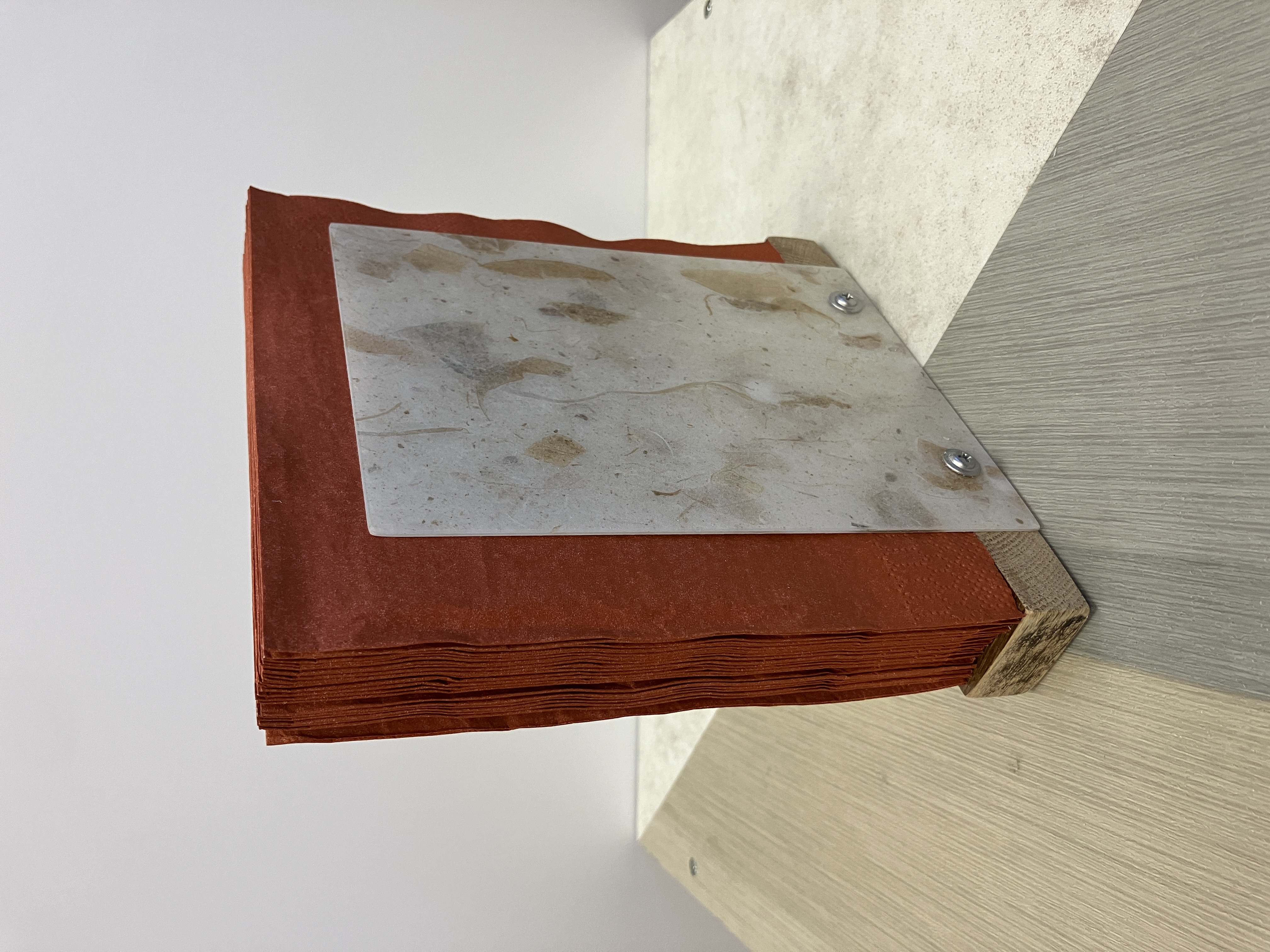 Rooted Elegance Napkin Holder