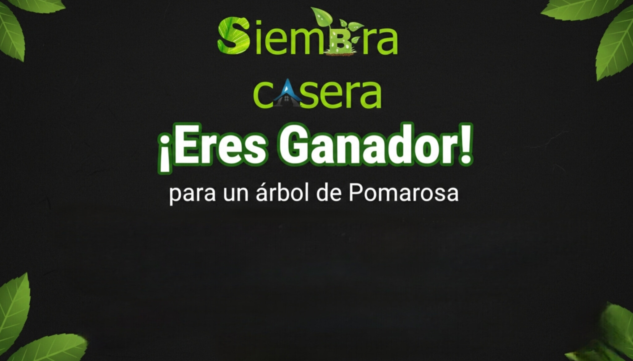 Eres ganador efectua tu pago de 1 dólar y recoge tu árbol en la emisora Wiac 740 am leer reglas