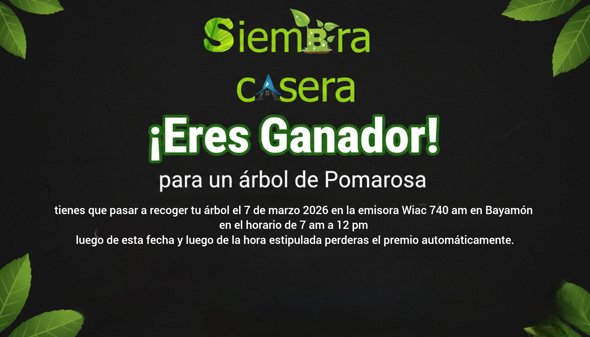 Participa para Ganar árbol de Pomarosa