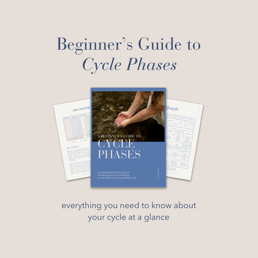BUNDLE: Cycle Phases Beginner Guide + Cycle Charting Cheat Sheet