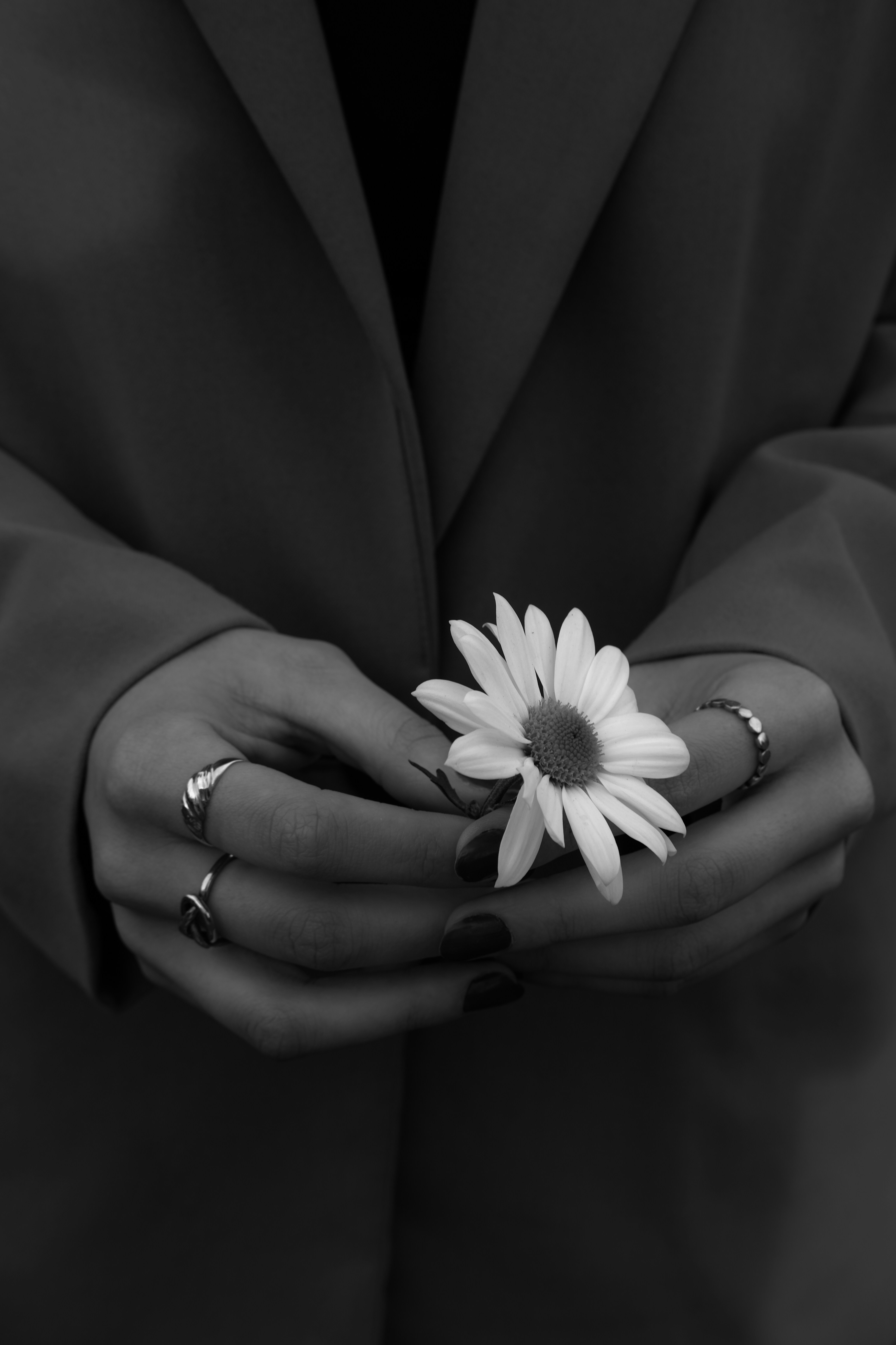 Loss Recovery Roadmap