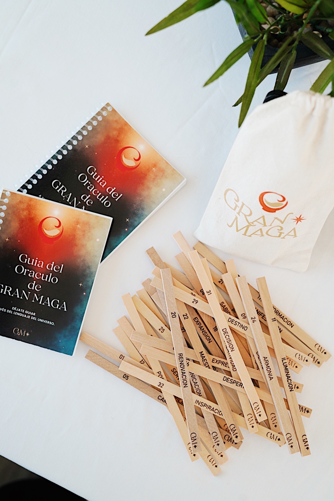 Oráculo 33 varillas