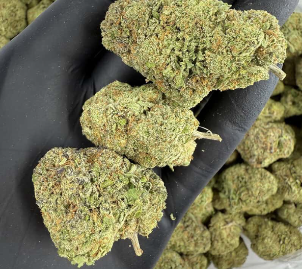 Webbing Cake THCa Flower 3.5